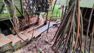 Paraíso Ayahuasca Hotel & Tours - Puerto Nariño - 1