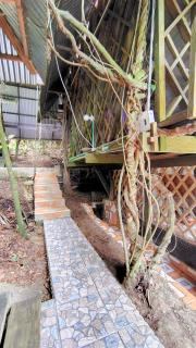 Paraíso Ayahuasca Hotel & Tours - Puerto Nariño - 3