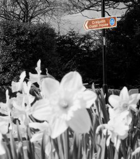 Craigatin House & Courtyard - 2