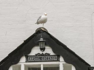 Rydal Cottage - Scarborough - 8