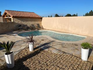 Très beau mas provençale entièrement rénové Piscine & SPA entre Dentelles & Ventoux - Violès - 5