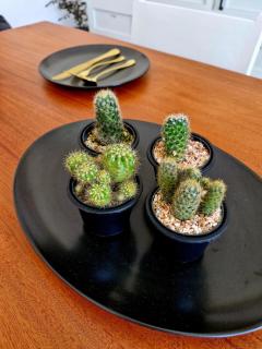 Charming place at the beach The White Nest - 4