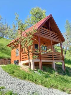 Cabana Ulmului - Vişeu de Sus - 0