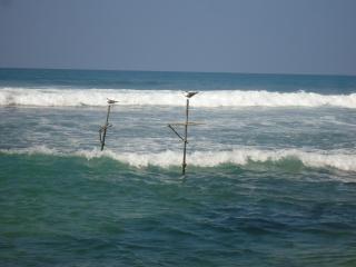 Disa Residence - Galle - 4