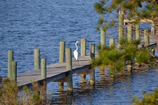 3BR Cottage Waterfront Wade Creek Fishing Boating - Smyrna - 8