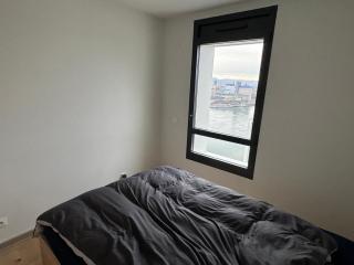 Wohlfühloase 50m über dem Rhein - Huningue - 4