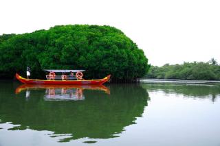 Kadingis homestay and eco tourism - - 6