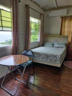 Dream Cabin Studio Apartment - - 5