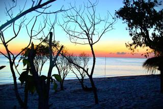 Motorhome Holbox frente al mar y bioluminiscencia - Holbox - 3