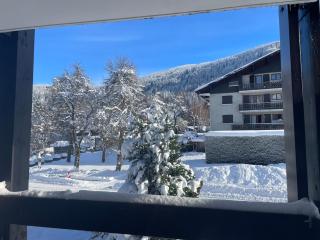 Studio Carroz d'Arâches 4 pers - Arâches-la-Frasse - 9