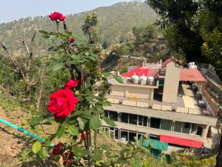 HillCrest Valley Ranikhet - Marchula - 4