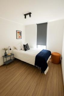 Providencia Gem Modern 2BR 6 guests - Santiago - 8