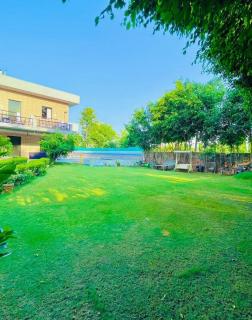 Countryside farm with luxurious swimming pool - 6