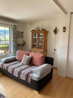 Charming studio with a view - Flims - 0