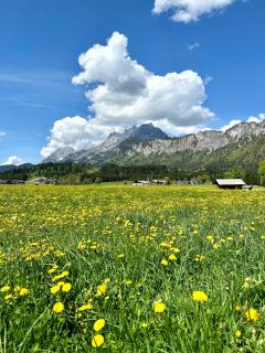 Alpine Haven, Kitzbühel ALPS - Sankt Johann in Tirol - 1