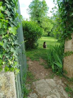 Terre de Plaisirs - 1