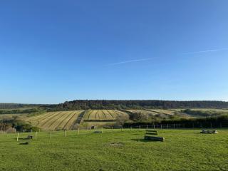 The Old Stable Block - Flat 2 - Wadebridge - 5