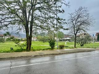 Tuscany holiday - Montale - 9