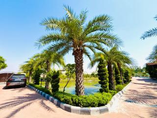 Marok Farm - Jalandhar - 4