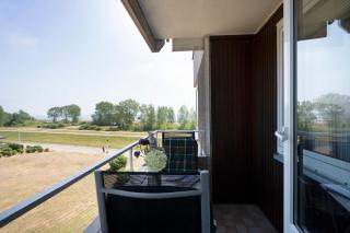 Hanseat Rotkehlchen - 1