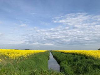Tief 12 Meeresbrise mit Internet 52 - Wangerland - 6