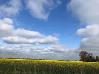 Tief 10 Wattn Watt-Blick 604 - Wangerland - 3