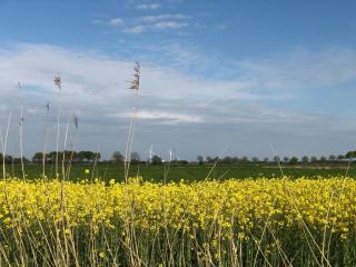 Tief 10 Wattn Watt-Blick 604 - Wangerland - 2