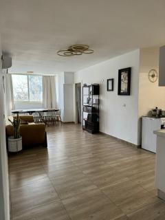 שלוות צפת - 0