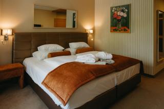 Hotel Albizia - Jennersdorf - 3