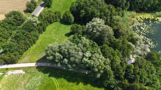 Leśny Domek - Świekatowo - Świekatowo - 2