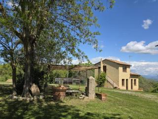 Agriturismo Collina degli Ulivi - Sarteano - 0