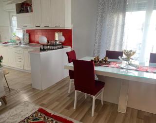 Logo House - Durazzo - 6
