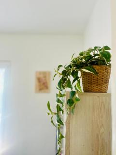 La casetta del pozzo - 2