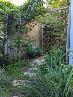 The green nest - Gedera - 2