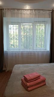 Cozy apartment near Alatau metro station - Almaty - 7