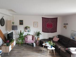 Appartement lumineux avec terrasse proche Colmar - Wihr-au-Val - 0