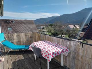 Appartement lumineux avec terrasse proche Colmar - Wihr-au-Val - 5