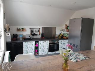 Appartement lumineux avec terrasse proche Colmar - Wihr-au-Val - 4