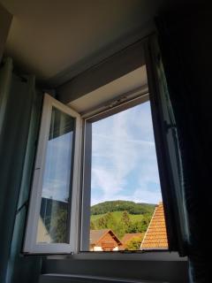 Appartement lumineux avec terrasse proche Colmar - Wihr-au-Val - 1