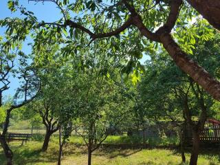 Holiday home with natural garden - Kaltennordheim - 6