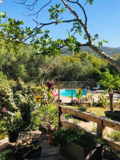 Magnifique villa avec piscine - Porto Vecchio - 4