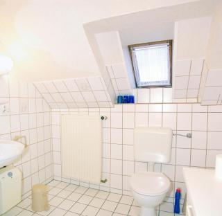An der alten Pappel Nr 2 - 5