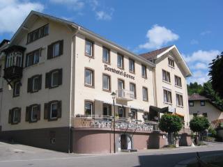 Parkhotel Sonne - Schönau im Schwarzwald - 0