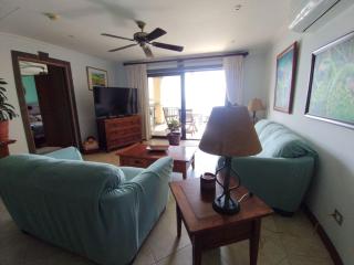 Incredible Ocean View & Sunset - Playa Flamingo - 9