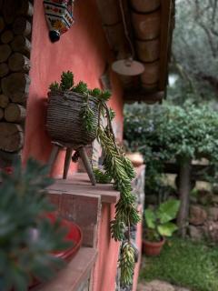 The Treehouse - Casa sull'albero al Golden Camp - 9