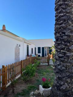 La Casa dei palmizi - Balestrate - 8