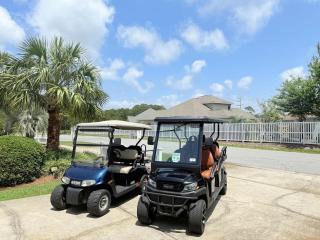 Coastal Rose- Maravilla - Destin - 7