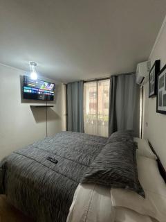 Gran Departamento - Santiago - 2