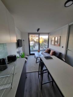 Pedro de Valdivia 1BR 1BA Cozy ideal for 3 - Santiago - 9