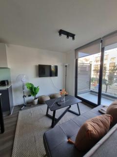Pedro de Valdivia 1BR 1BA Cozy ideal for 3 - Santiago - 5